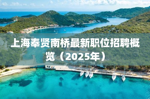上海奉贤南桥最新职位招聘概览（2025年）