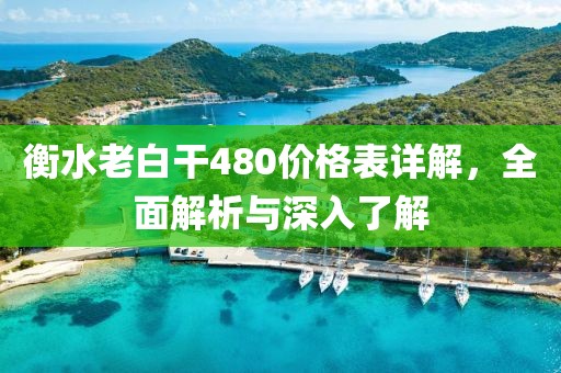 衡水老白干480价格表详解，全面解析与深入了解