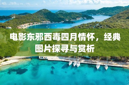电影东邪西毒四月情怀，经典图片探寻与赏析