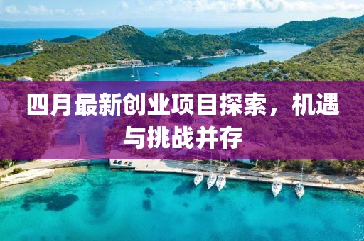 四月最新创业项目探索，机遇与挑战并存