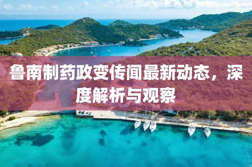 鲁南制药政变传闻最新动态，深度解析与观察