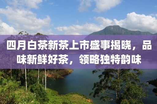 四月白茶新茶上市盛事揭晓，品味新鲜好茶，领略独特韵味