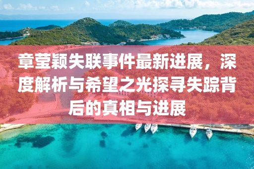章莹颖失联事件最新进展，深度解析与希望之光探寻失踪背后的真相与进展