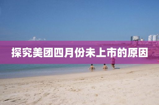 探究美团四月份未上市的原因