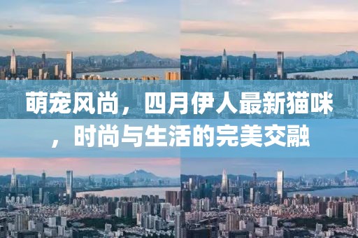 萌宠风尚，四月伊人最新猫咪，时尚与生活的完美交融