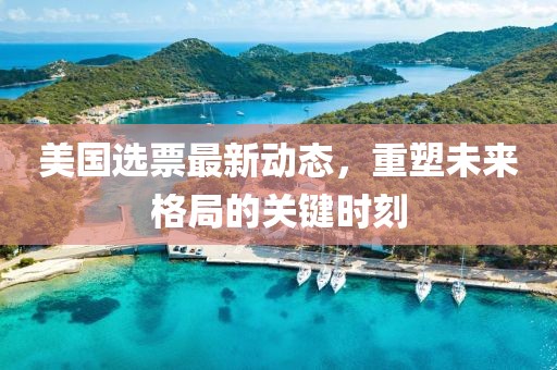 美国选票最新动态，重塑未来格局的关键时刻