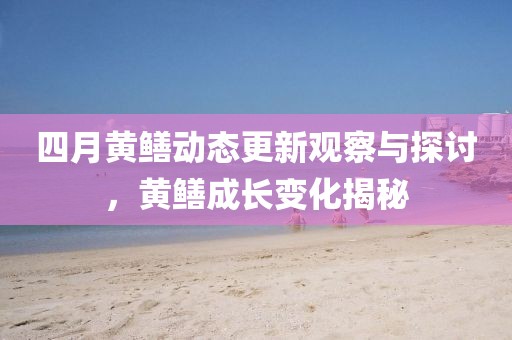 四月黄鳝动态更新观察与探讨，黄鳝成长变化揭秘
