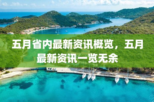 五月省内最新资讯概览，五月最新资讯一览无余