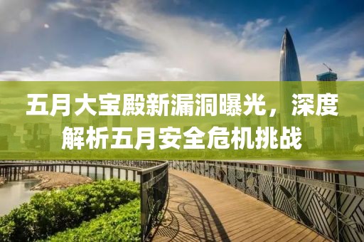 五月大宝殿新漏洞曝光，深度解析五月安全危机挑战