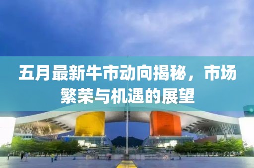 五月最新牛市动向揭秘，市场繁荣与机遇的展望