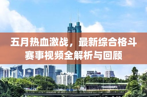 五月热血激战，最新综合格斗赛事视频全解析与回顾