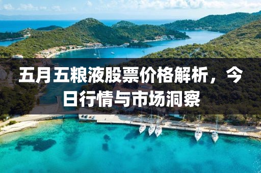五月五粮液股票价格解析，今日行情与市场洞察