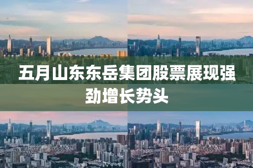 五月山东东岳集团股票展现强劲增长势头