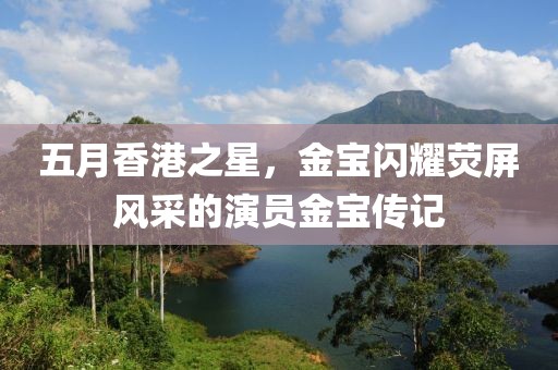 五月香港之星，金宝闪耀荧屏风采的演员金宝传记