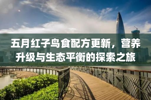 五月红子鸟食配方更新，营养升级与生态平衡的探索之旅