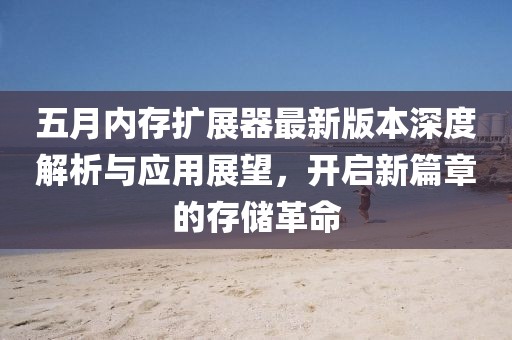 五月内存扩展器最新版本深度解析与应用展望，开启新篇章的存储革命