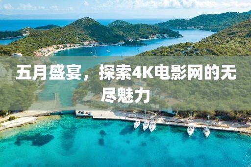 五月盛宴，探索4K电影网的无尽魅力