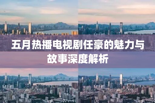 五月热播电视剧任豪的魅力与故事深度解析