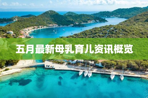 五月最新母乳育儿资讯概览