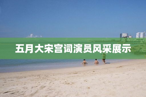 五月大宋宫词演员风采展示