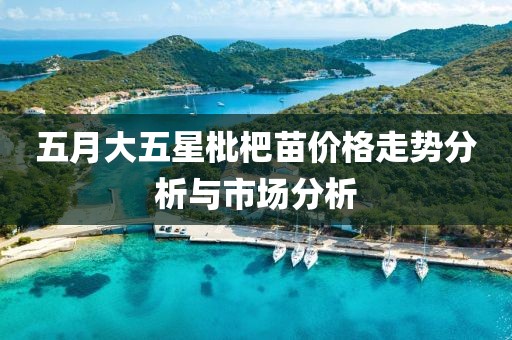 五月大五星枇杷苗价格走势分析与市场分析