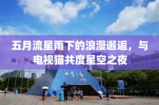 五月流星雨下的浪漫邂逅，与电视猫共度星空之夜