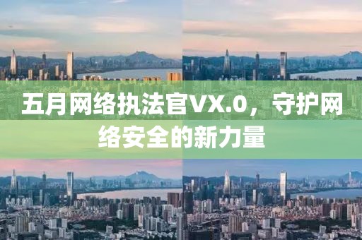 五月网络执法官VX.0，守护网络安全的新力量