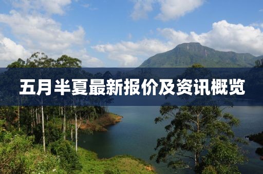 五月半夏最新报价及资讯概览