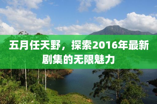 五月任天野，探索2016年最新剧集的无限魅力