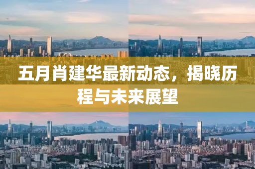 五月肖建华最新动态，揭晓历程与未来展望