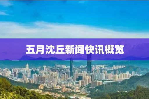 五月沈丘新闻快讯概览