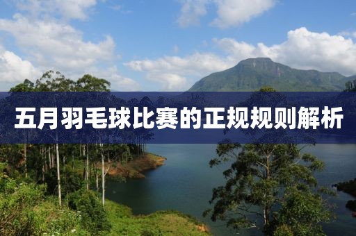 五月羽毛球比赛的正规规则解析