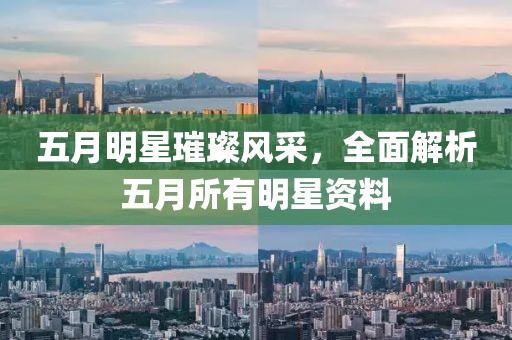 五月明星璀璨风采，全面解析五月所有明星资料
