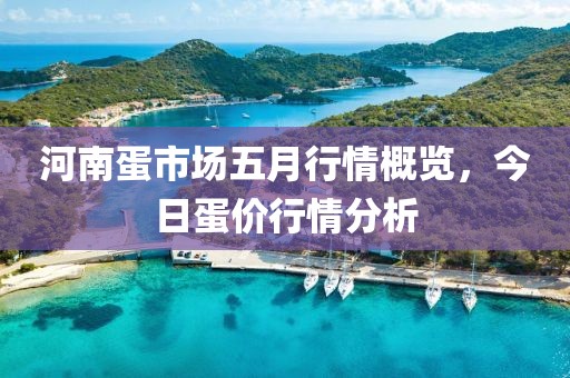 河南蛋市场五月行情概览，今日蛋价行情分析