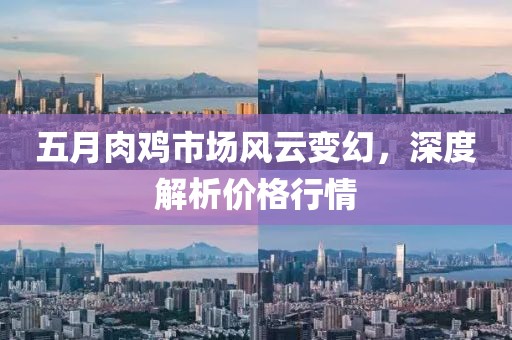 五月肉鸡市场风云变幻，深度解析价格行情