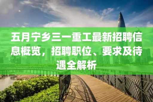 五月宁乡三一重工最新招聘信息概览，招聘职位、要求及待遇全解析