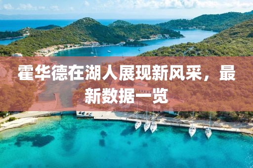 霍华德在湖人展现新风采，最新数据一览