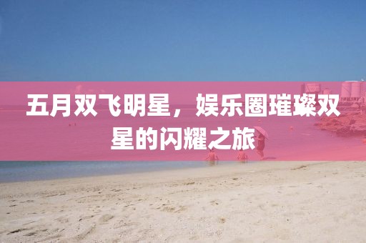 五月双飞明星，娱乐圈璀璨双星的闪耀之旅