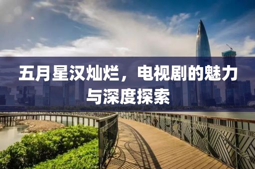 五月星汉灿烂，电视剧的魅力与深度探索