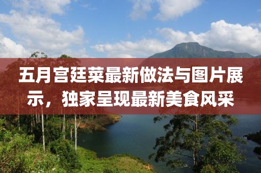 五月宫廷菜最新做法与图片展示，独家呈现最新美食风采