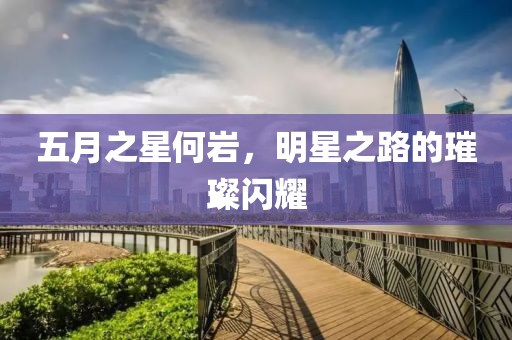 五月之星何岩，明星之路的璀璨闪耀