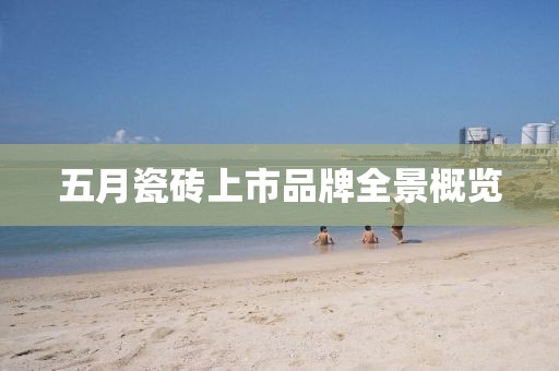 五月瓷砖上市品牌全景概览
