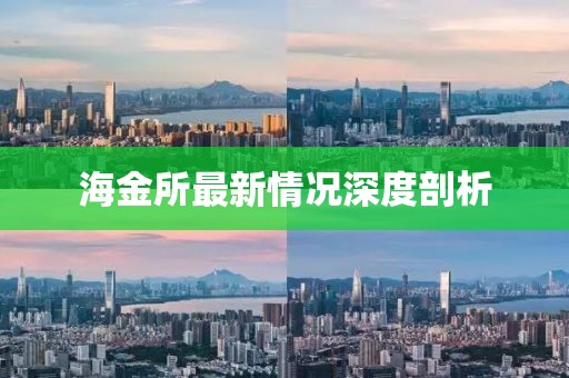 海金所最新情况深度剖析