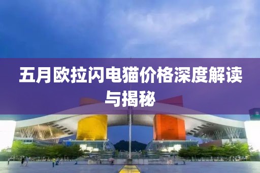 五月欧拉闪电猫价格深度解读与揭秘