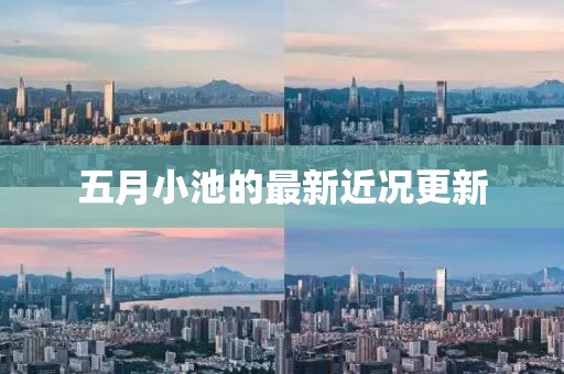 五月小池的最新近况更新