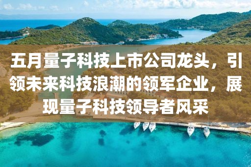 五月量子科技上市公司龙头，引领未来科技浪潮的领军企业，展现量子科技领导者风采