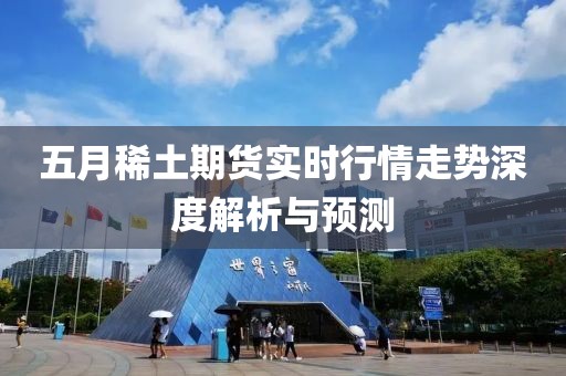 五月稀土期货实时行情走势深度解析与预测