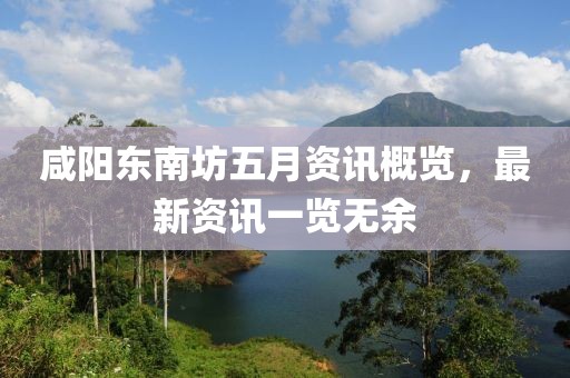 咸阳东南坊五月资讯概览，最新资讯一览无余