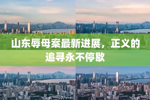 山东辱母案最新进展，正义的追寻永不停歇