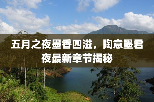 五月之夜墨香四溢，陶意墨君夜最新章节揭秘
